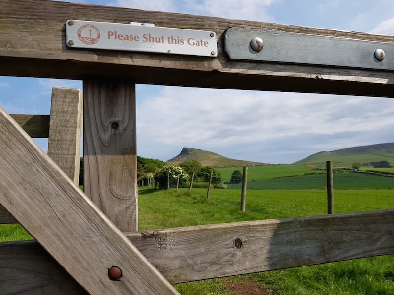 Navigation & NNAS | Rewilding Adventure