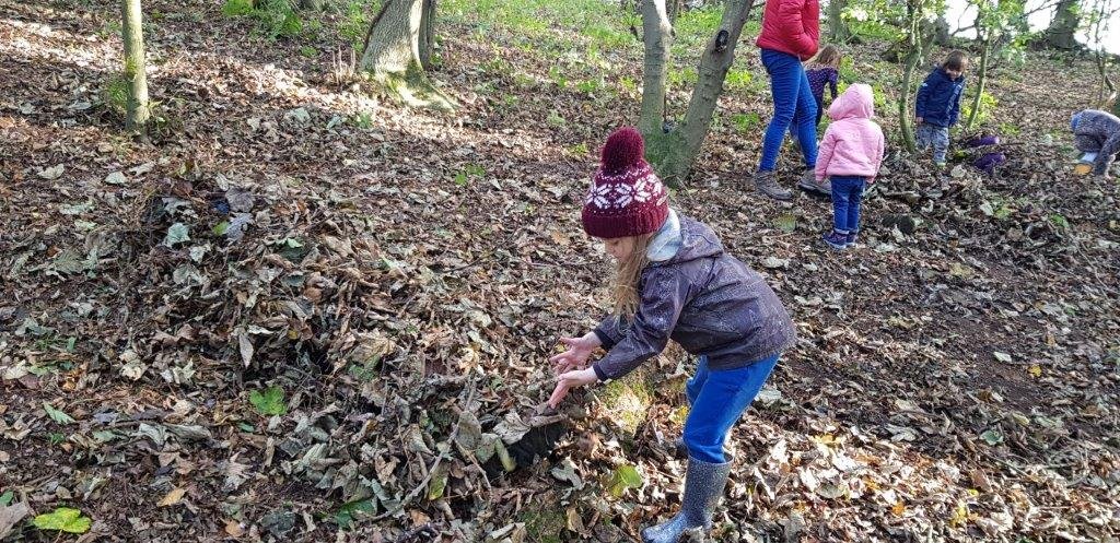 Forest School Woodland Play