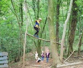 Forest School activity walking across a balance beam