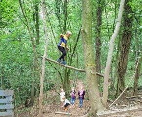 Thoughts on Forest School