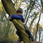 Forest School Loving the tree