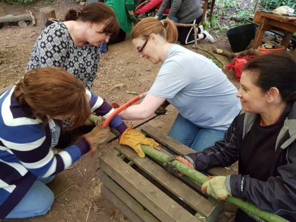 20190705_110454 20190705_110454