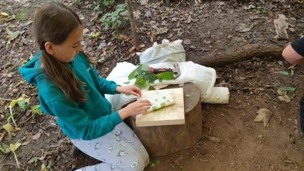 20200803_112624 20200803_112624