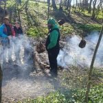Forest School Leader Fire Lighting Smoke Spring